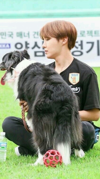 Jhope and dog