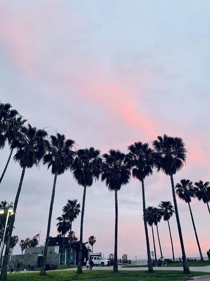 Venice beach