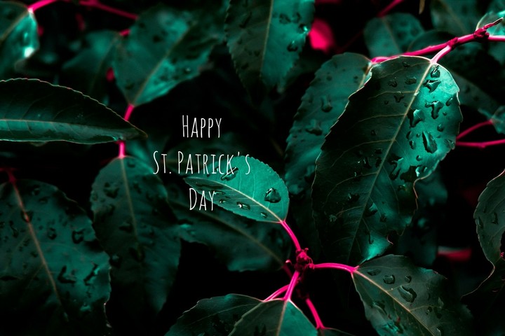 Happy St. Patrick's day