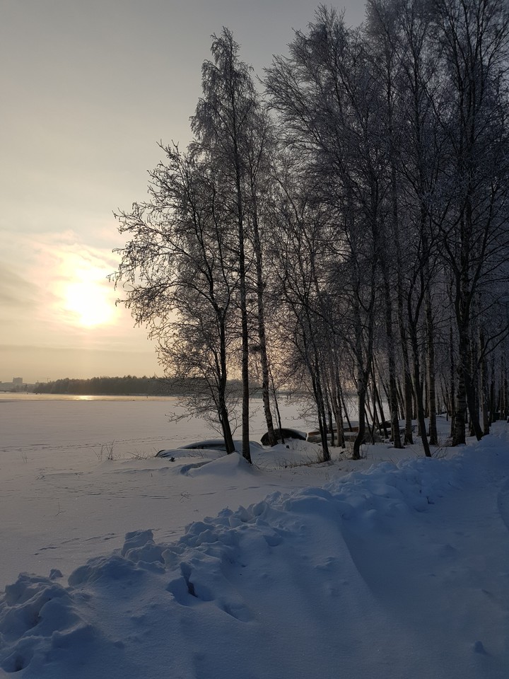 Winter love