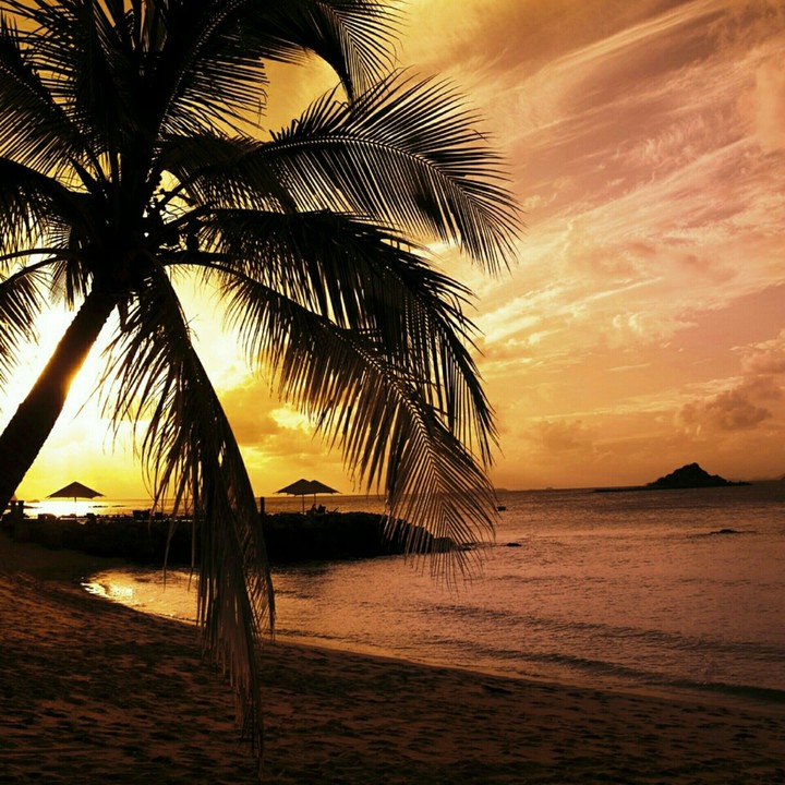 Sea