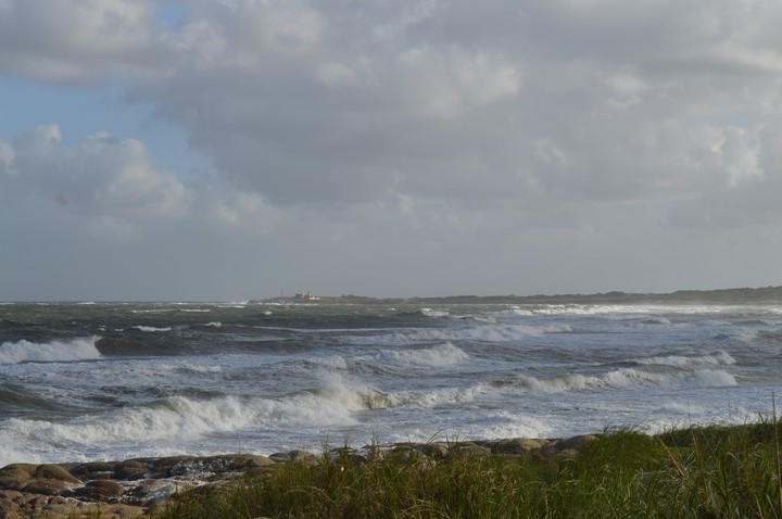 La viuda, uruguay