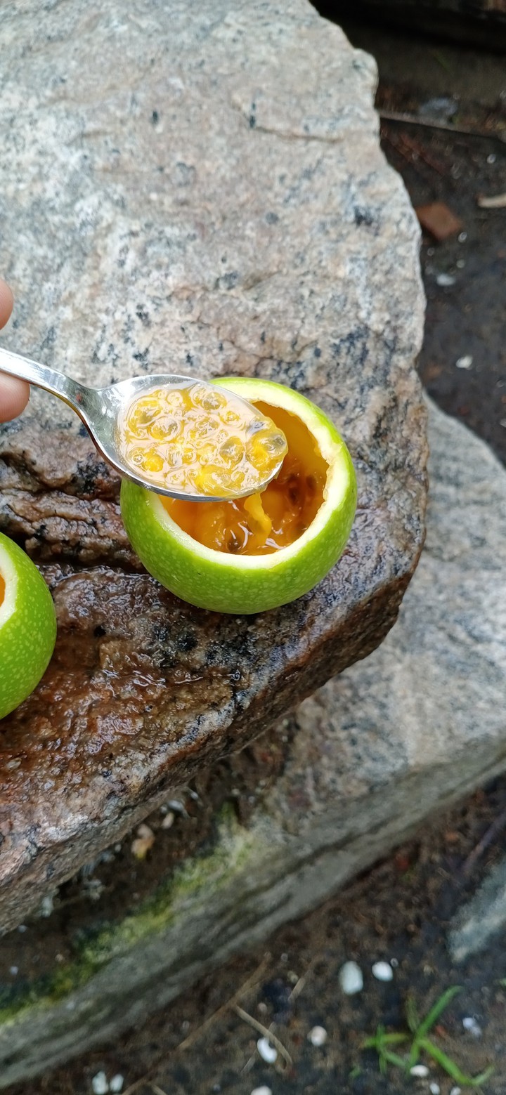 Passion fruit