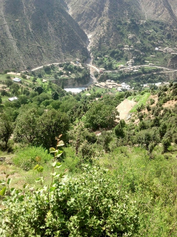 sawat