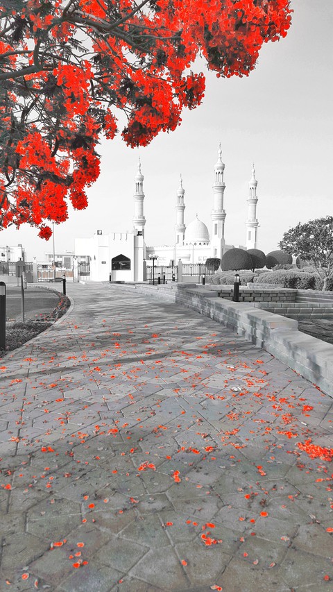 abu dubai masjid