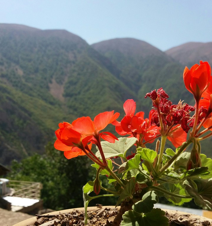 Iran_land