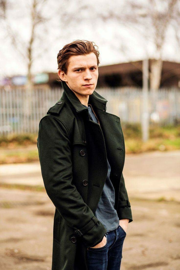 Tom hollad