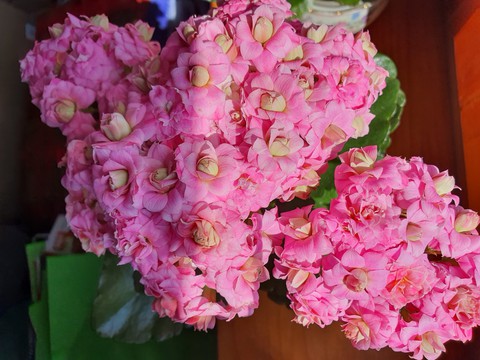 pink