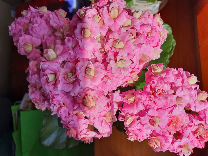 pink
