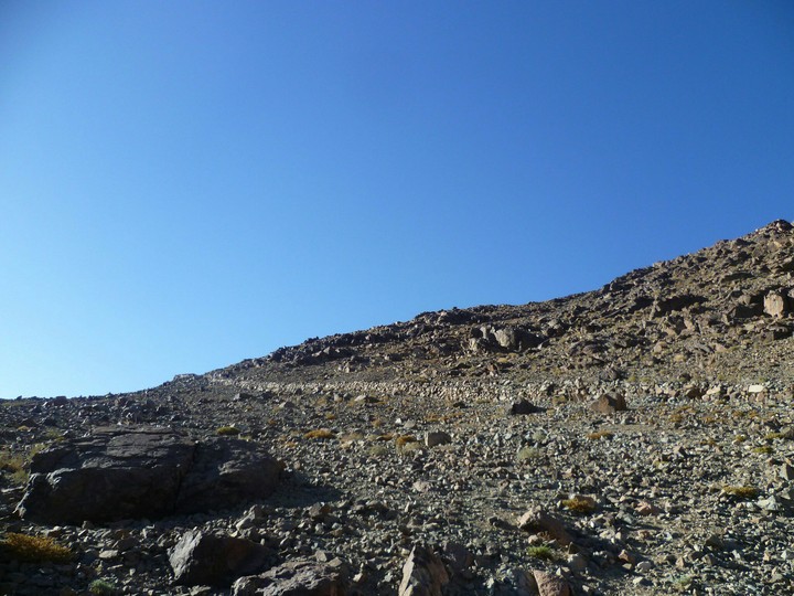 terrain