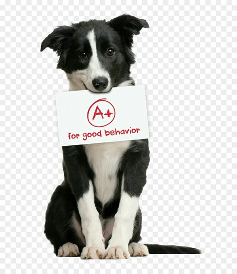 A+