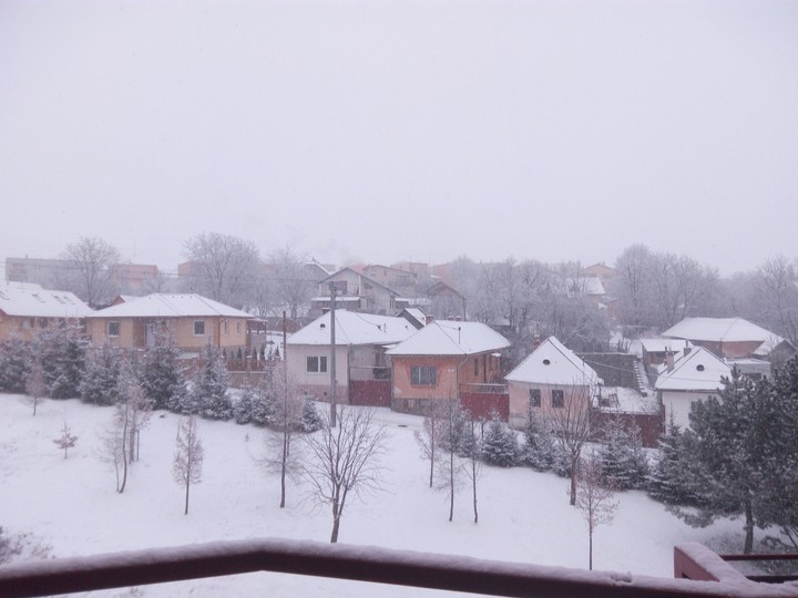 Snow,snow,snow!!!
