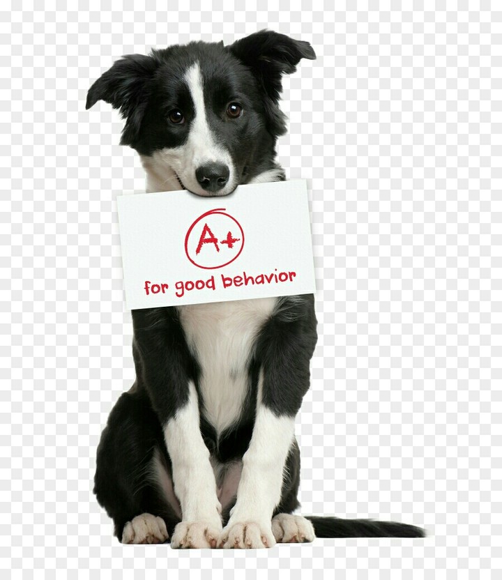 A+