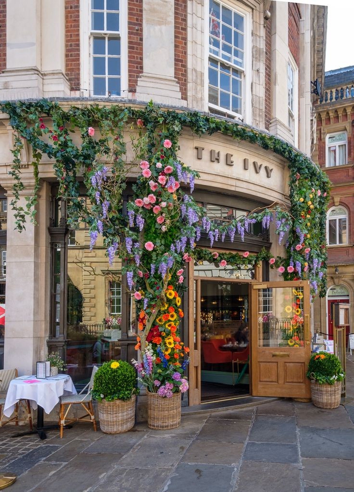 coffee shop the ivy