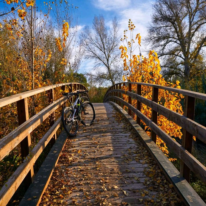 autumn landscape