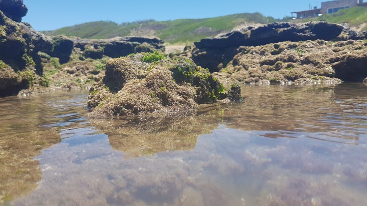 Rocks