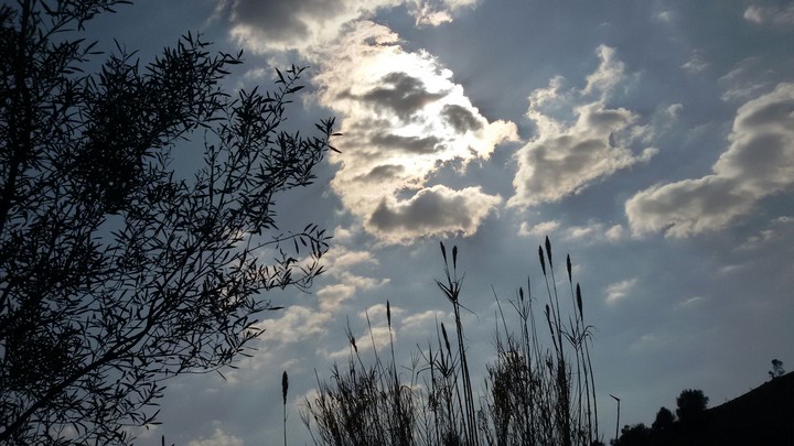 Sky