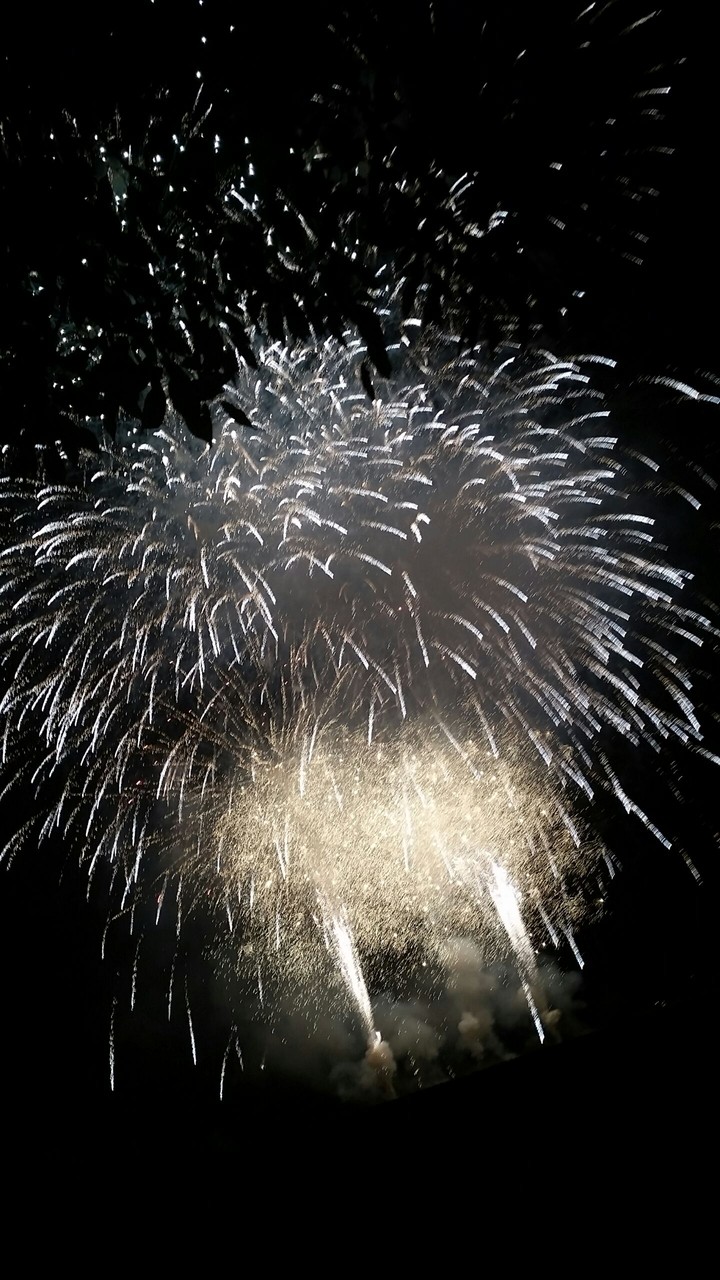 Firework in the Italy