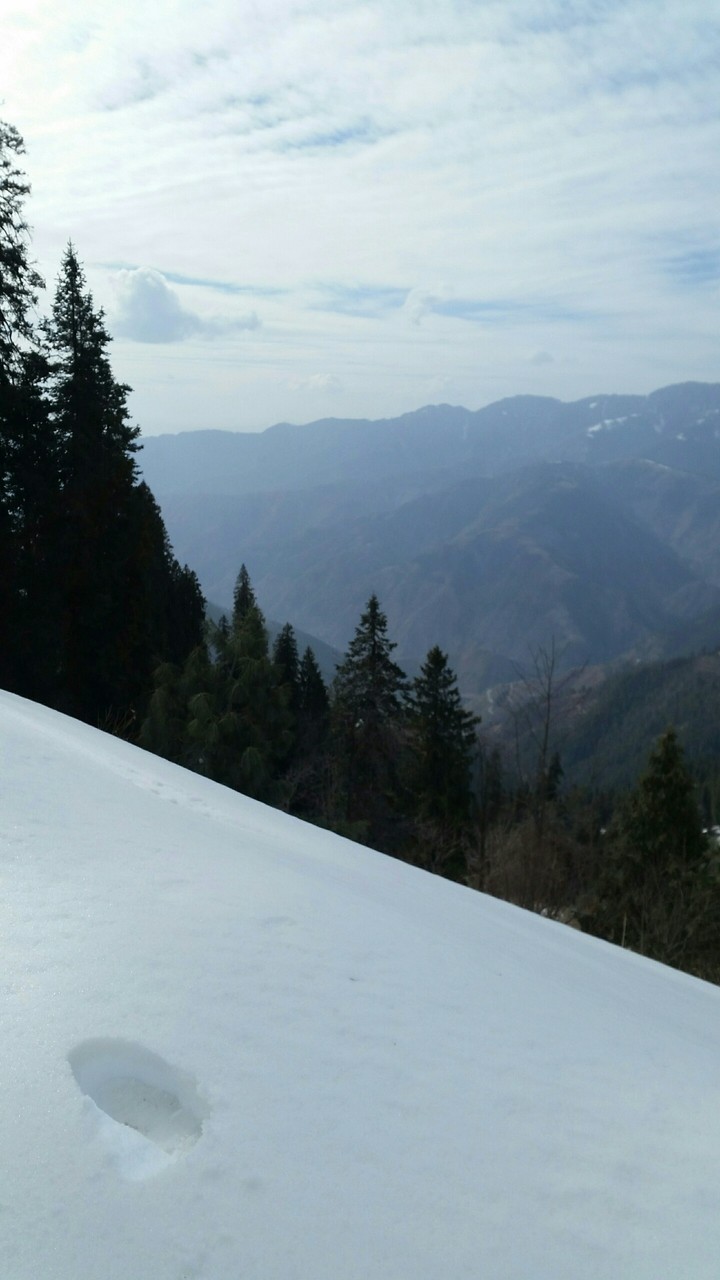 snow