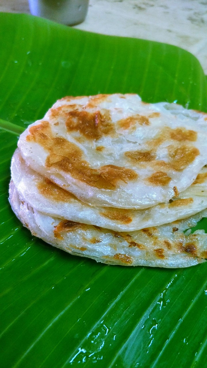 Parota