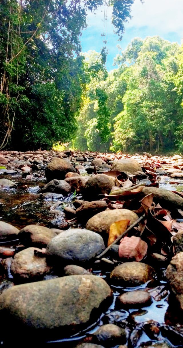 Divine Nature