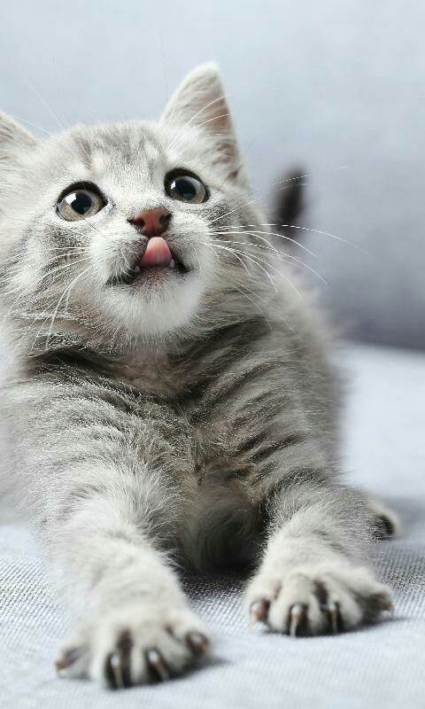 its playtime??  O:-)