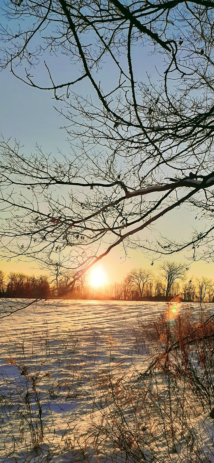Winter Sunshine
