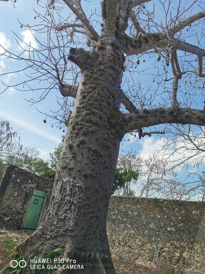 naturaleza