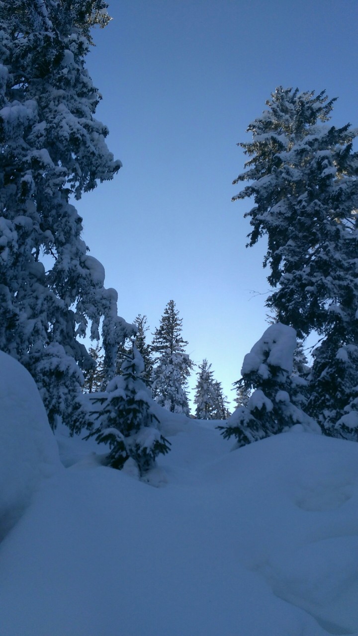 winter