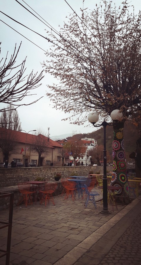 Colors in the winter