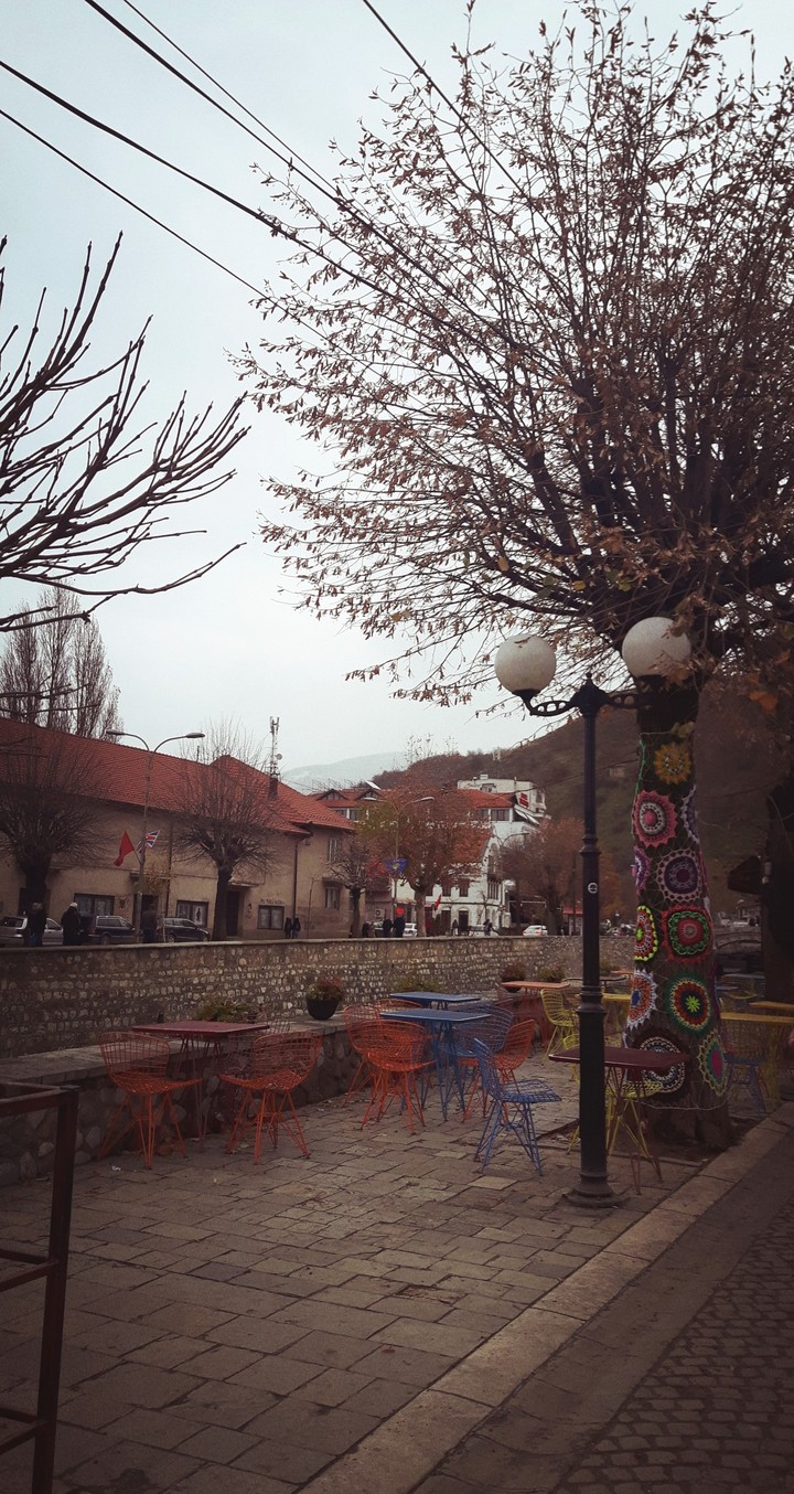 Colors in the winter