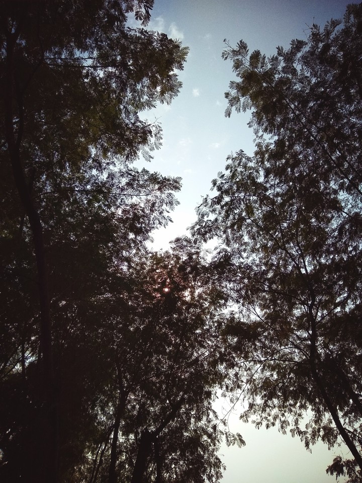 ☀️