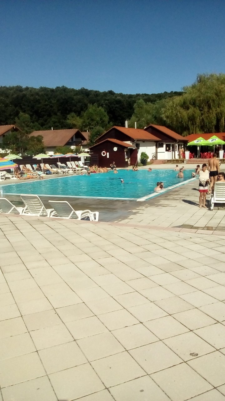 holiday