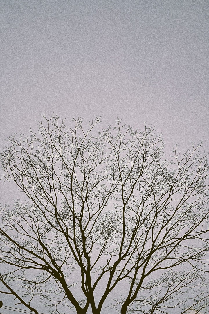 needle