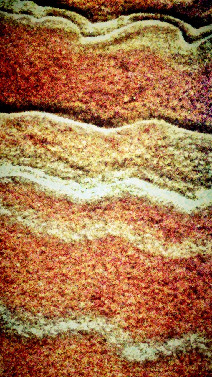 soil profile