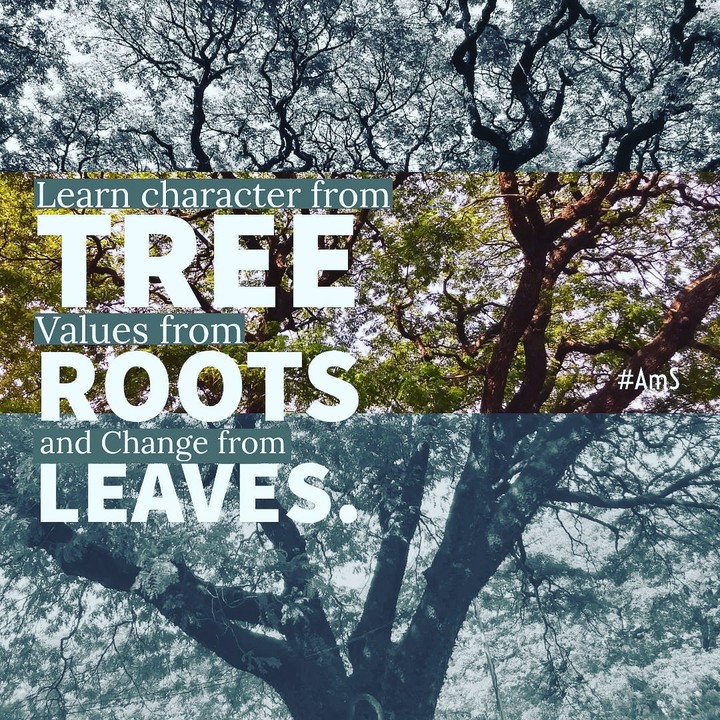 Trees speaks about many things.