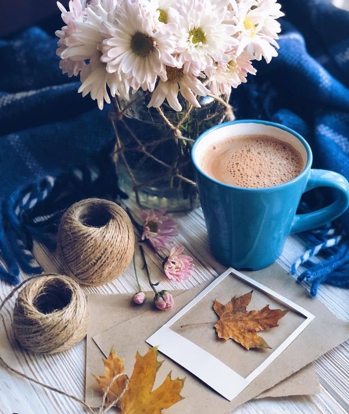 cup