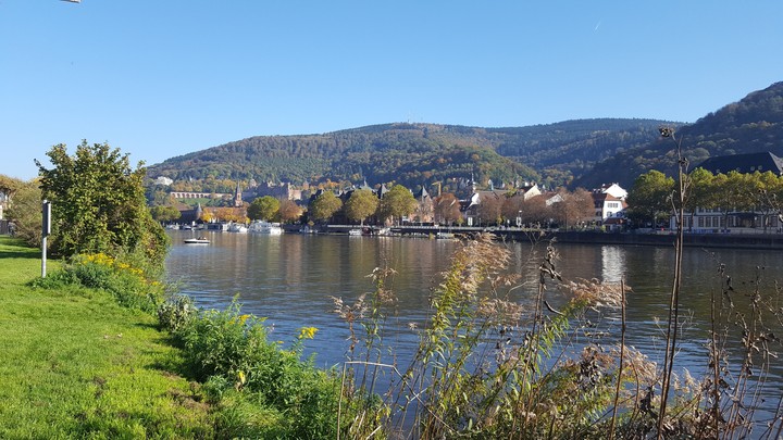 Heidelberg Neckarwiese