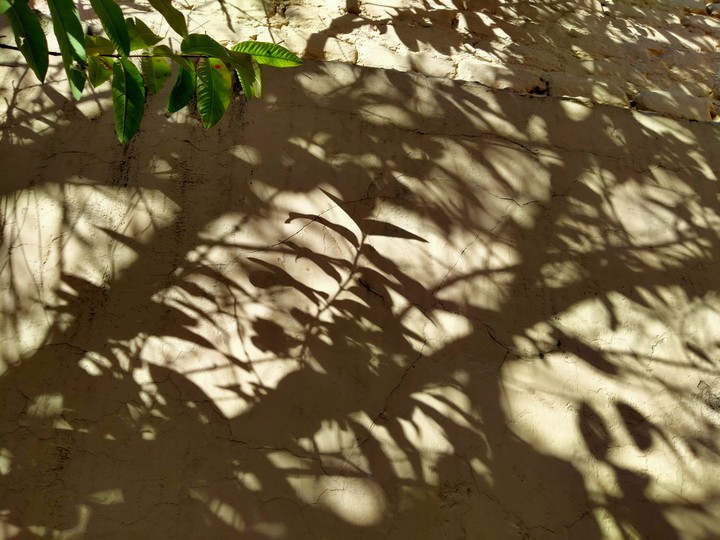 Shadows