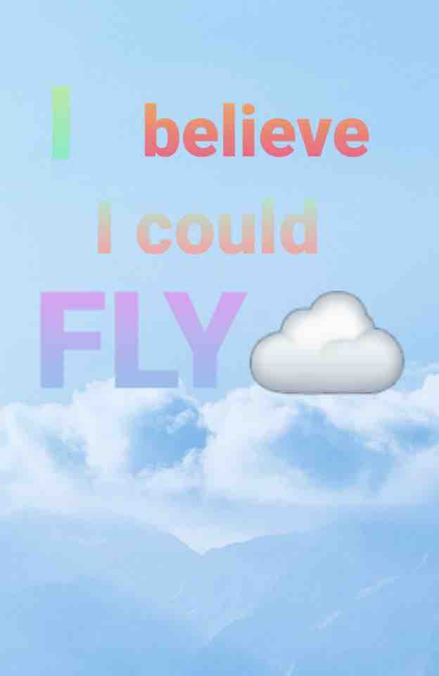 fly