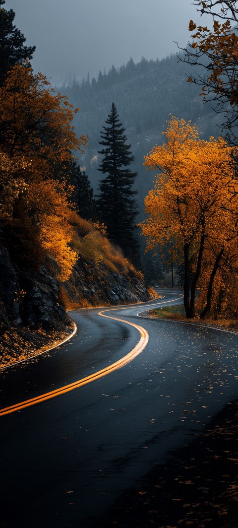 highway, larch Hintergrundbilder