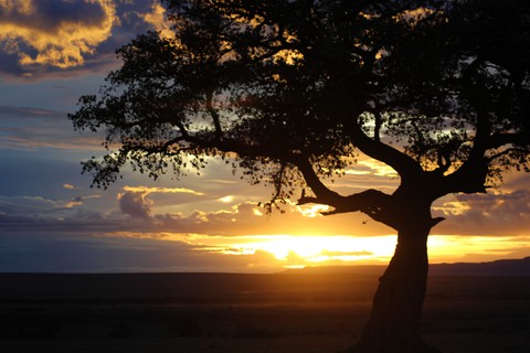A Masai Mara sunset
