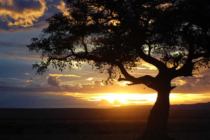A Masai Mara sunset
