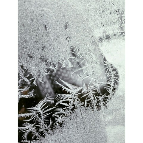 freezing frost