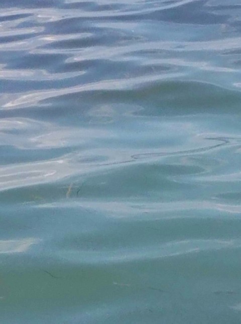 lake water