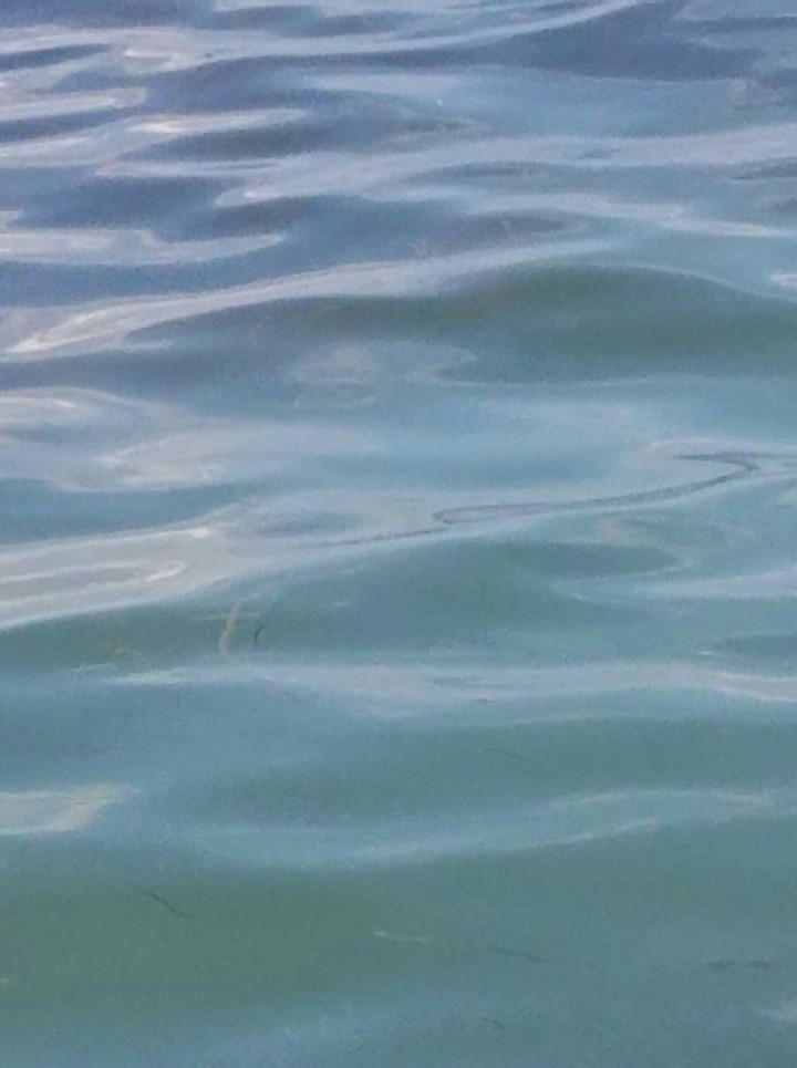 lake water