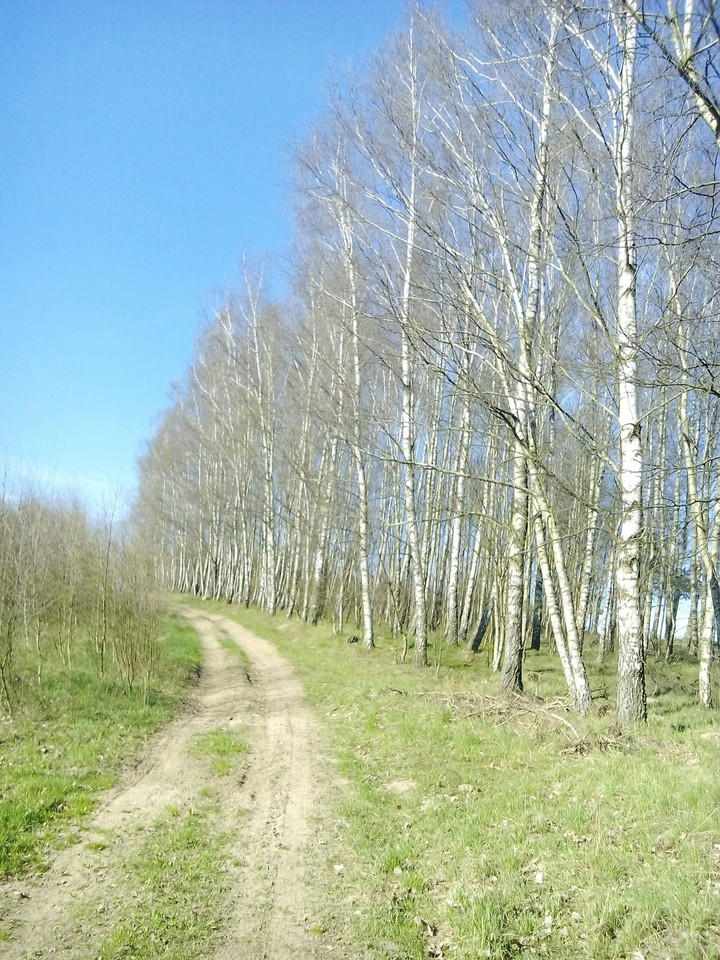 road