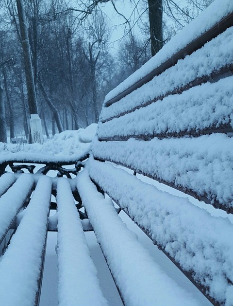 Winter