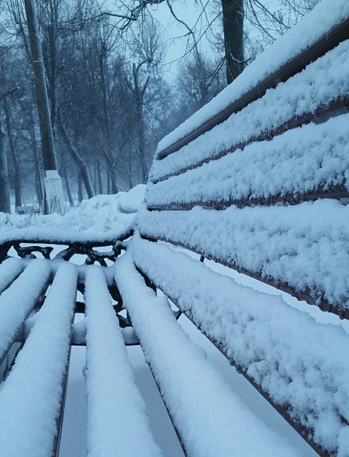 Winter