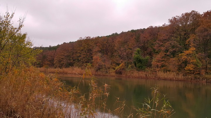 River in the Autumn